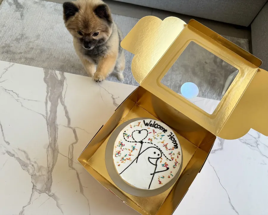Furs Class Travel — Pomeranian dog celebrating safe arrival in Dubai with a welcome home cake